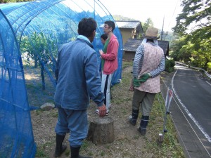 松井先生のクヌギ畑を訪問